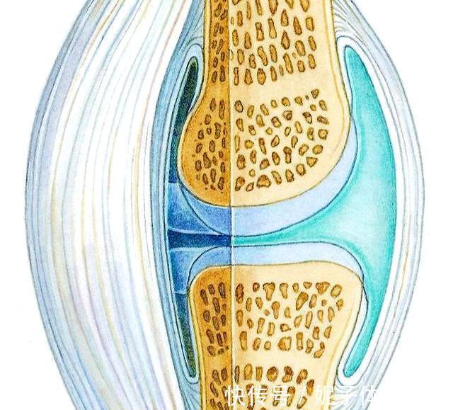 患者|膝盖疼,就是得滑膜炎了?医生辟谣,教您一步步判断自己的病因