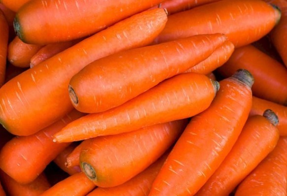 醋胡萝卜|让人倒下的不是病,而是无知!吃胡萝卜2大禁忌,大家来看下!