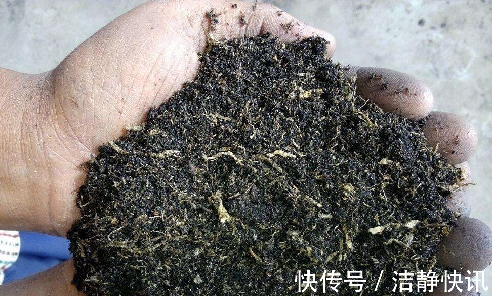 园土|丢了腐叶土吧,捡“3种料”,掺和一起,就是养花万能土