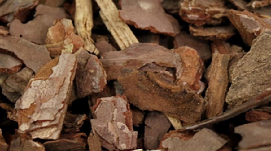 宝贝|去趟农村别闲着,路边看见这些宝贝,多扛些回家养花,赚大了