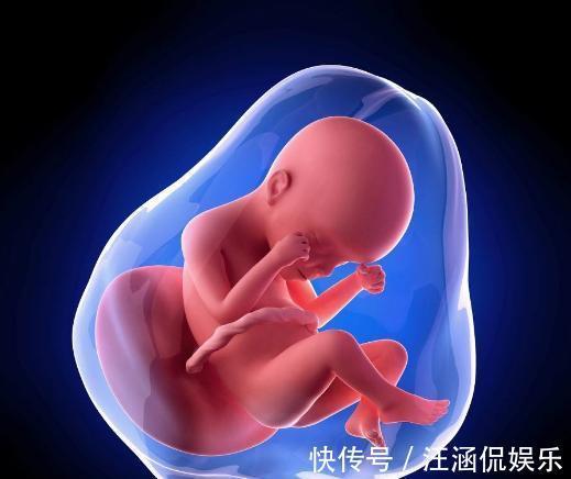 胎儿|孕期胎儿聪不聪明,孕妇身上3点很重要,你中了吗