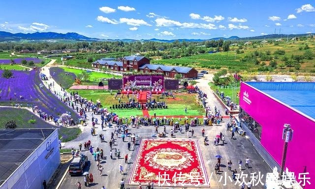 百合花|爱你一万年太久，七月来凌源收获百年好合，这里是北方花都