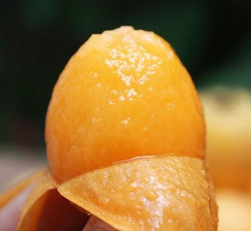 枇杷|越老越要吃得好中老年人营养均衡建议多吃这4种“软黄金”!