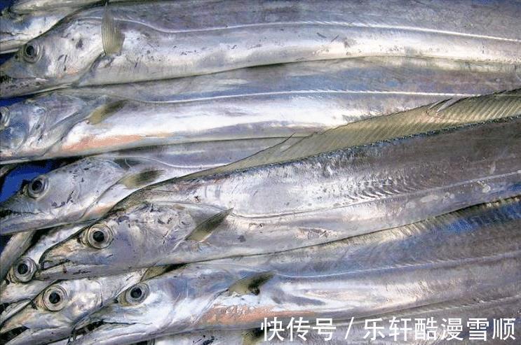 多宝鱼|中秋家宴，把这5种海鱼端上餐桌，营养高价格低，待客也倍有面子