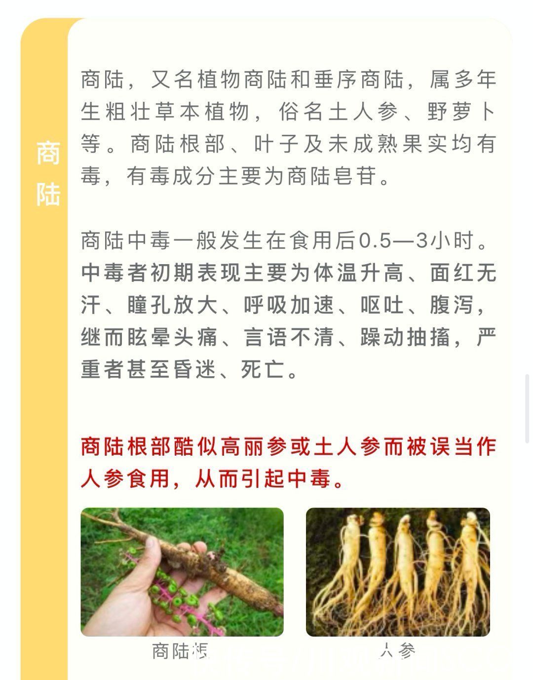 野菜|四川人注意！夏季这些常见的植物有毒