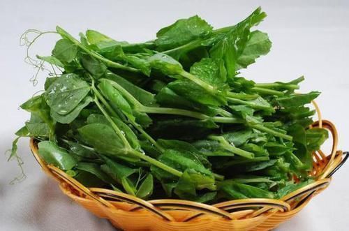 豌豆苗|天然的“养肝王”,常吃排出体内毒素,肝脏越来越健康