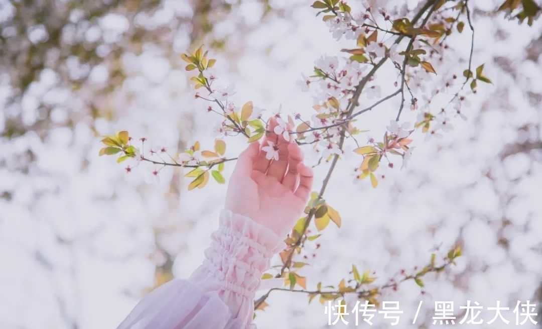 贾宝玉$晏几道最经典的10首宋词,柔情似水,那么美,那么伤