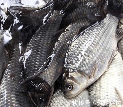 天冷多吃鱼，专挑这3种，应季好吃，营养还高，遇到千万别错过
