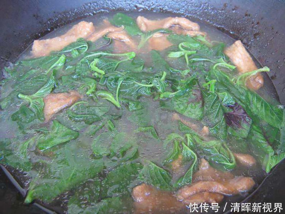 喂猪|人称“长寿菜”,过去常用来喂猪,但含钙比菠菜高,见到记得摘点