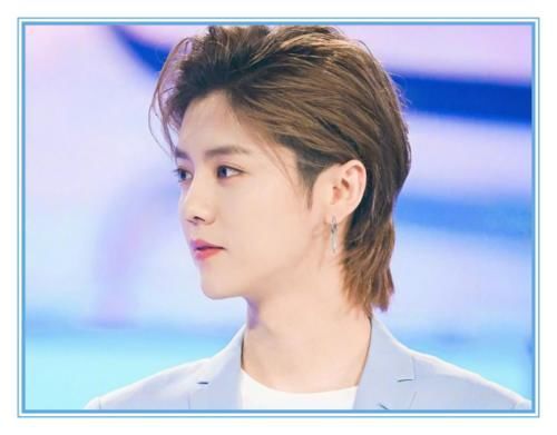 浪费|美术生用笔芯画鹿晗,本以为在浪费笔芯,看到最后这是本人吗