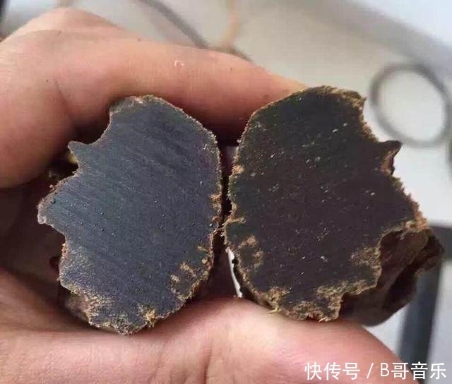 老炮从越南带回两根黑棒槌 一刀切开 激动得以头抢地 拂掌而呼