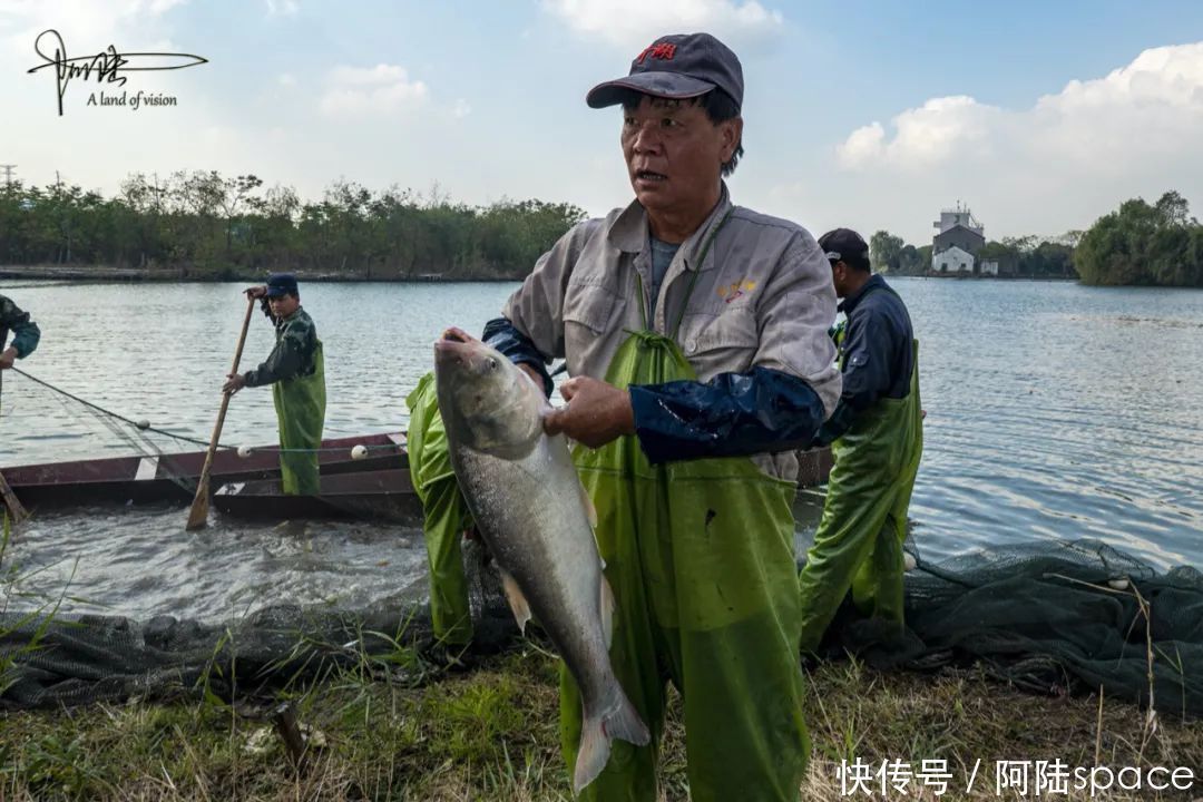 白塔|白塔湖里有个桃花岛，可以现场观看当地村民捕鱼，场面极为壮观