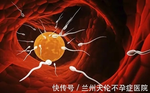 女性|女性的这3种表现，可能在暗示身体不排卵