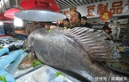 提醒常吃鱼肉好处多,但这4类鱼最好一口也不吃,希望你放心上