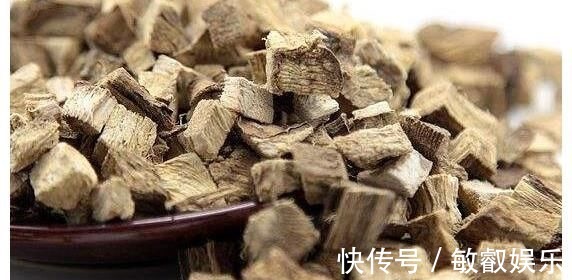 养肝护肝|每天认识一味中草，肝炎的“灭火剂”，敞开吃，肝一天比一天好