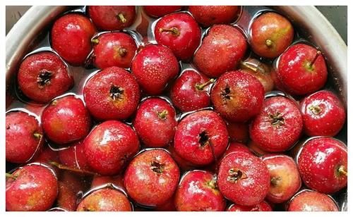 蛋白锌|积食“清洁工”已公布,山楂榜上无名,若爱吃,轻松清积食护脾胃