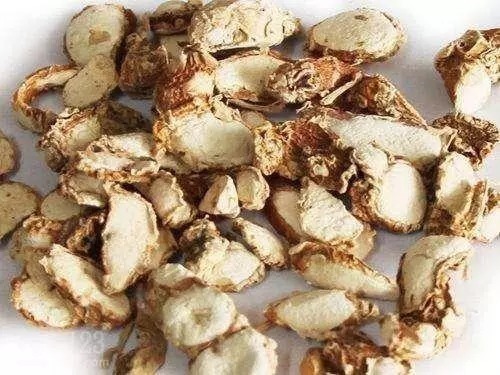 野钓|入秋后,钓鱼根本不用打窝!野钓用这些,水底的鱼全被你钓光了