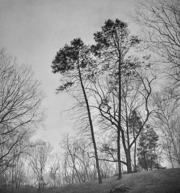 KerryBrooks&美女画家KerryBrooks的素描柔和细腻、造型准确、层次丰富