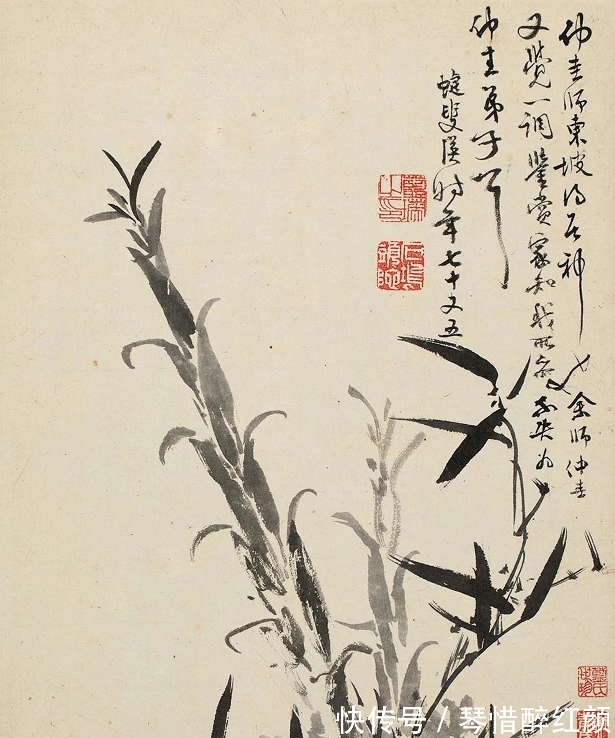 蓝瑛&蓝瑛12张《兰竹石图》,花鸟画最经典的课徒稿