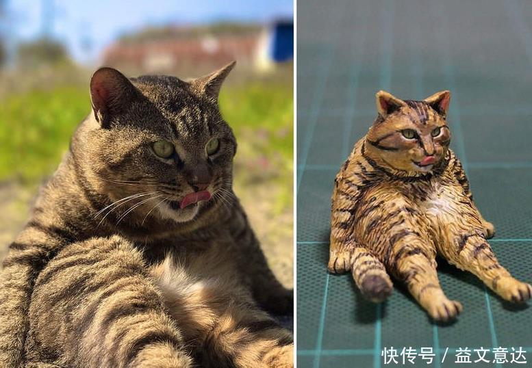日本|日本小哥做恶搞手办,两脚走路猫太魔性,看到站立猫网友笑出声