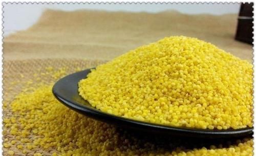 便秘|小米和此物一起“煮”,便秘跑了,氣血足了,尤其適合胃不好的人