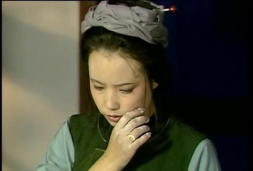 贾府|豆腐皮包子,糖蒸酥酪,胭脂鹅脯,贾府丫头们的菜谱有多精致?