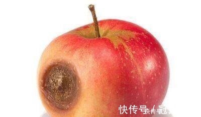 柚子|已经腐烂的水果,剩下还可以吃吗终于有答案了,现在就来告诉你