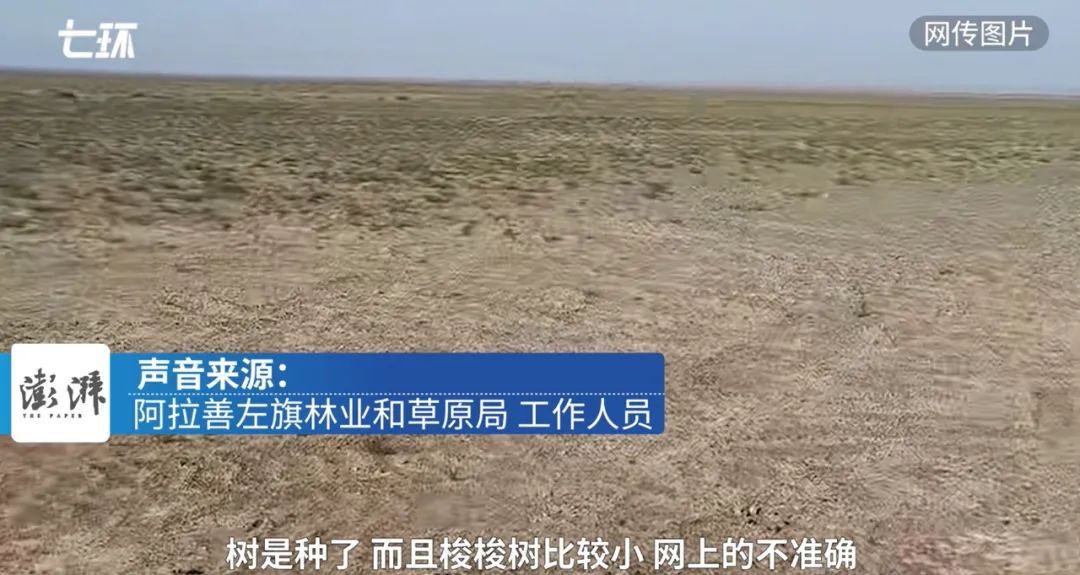 森林|种植区疑现荒地？蚂蚁森林回应