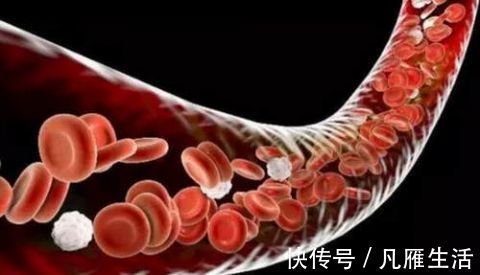 荞麦|洋葱靠边站，它才是血管“清洁工”，血管干净，血栓“躲着走”