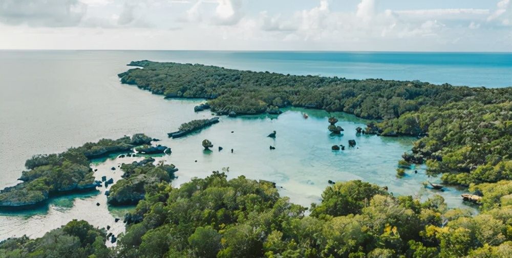 人防!精明的人,其实最傻