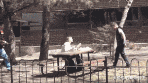 |搞笑gif:阿姨,你啥时候变得身轻如燕了,平时不是这样的啊