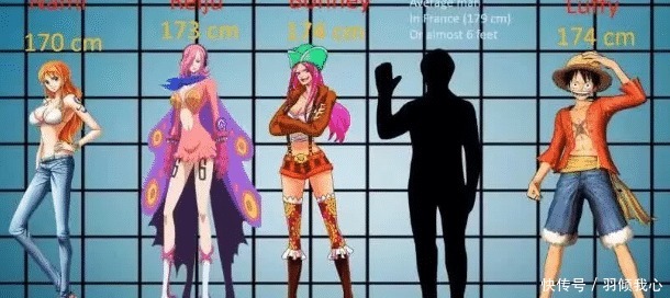 路飞|海贼王全员身高曝光,路飞女帝相差近20厘米,千倍身高差也有!
