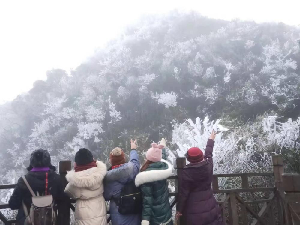 景区|大明山冰雪世界吸引了太多人，已经连续两天提前叫停售票！人满为患