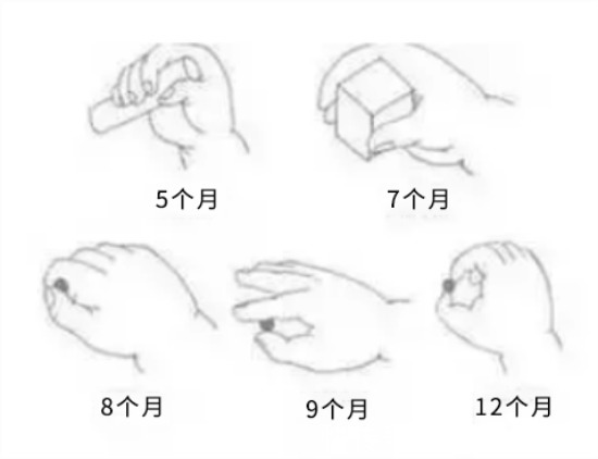 拇指|【家家母婴】让0-12个月宝宝变聪明的精细动作练习，千万别错过！