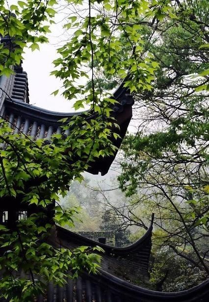 聪明|诸葛智慧：一场奇怪的梦，让诸葛亮悟到决胜智慧