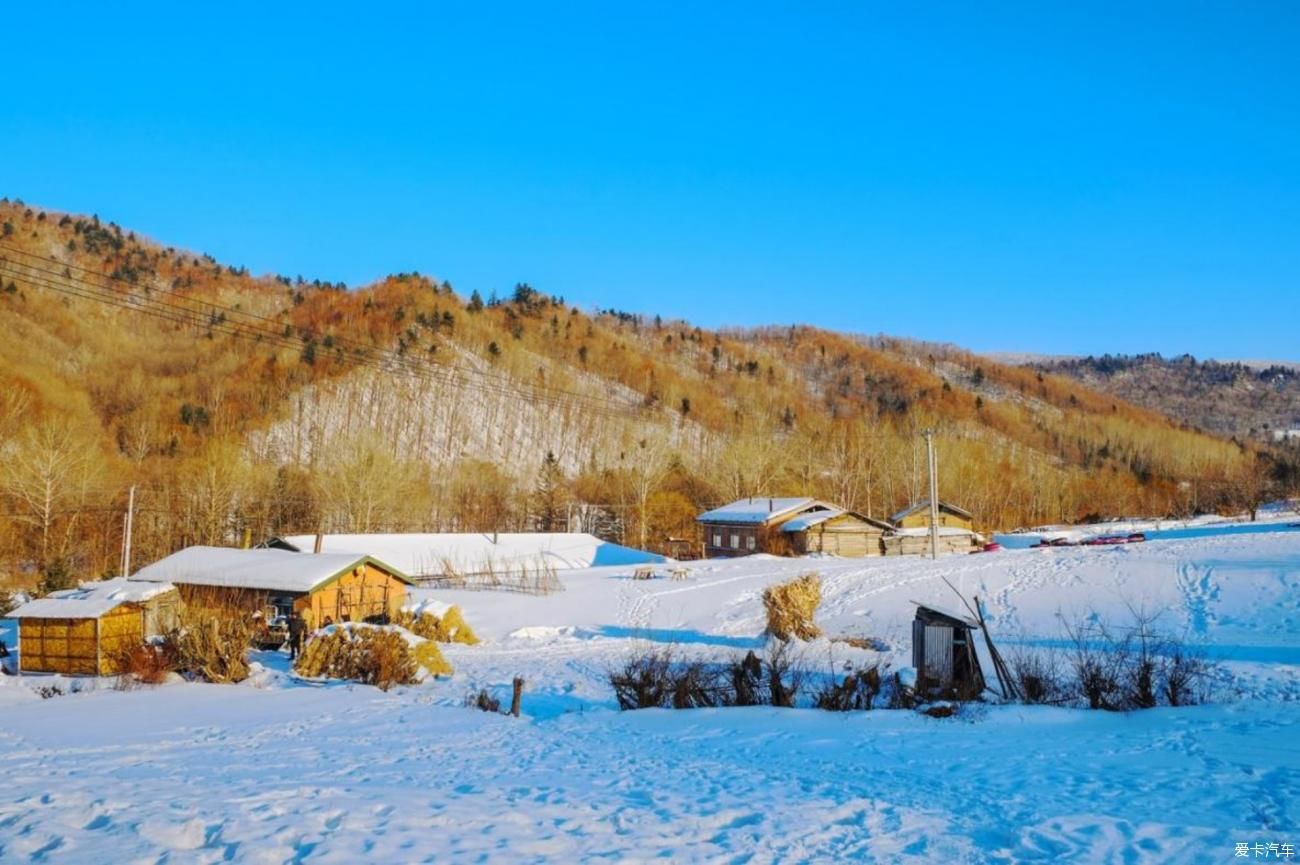 雪花漫漫洒落大地 浪漫季节体验大自然馈赠给人间的礼物-小雪花