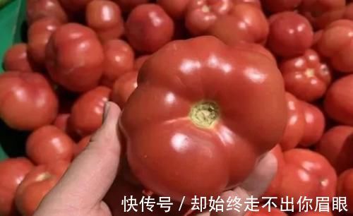 菜农|打了激素的西红柿如何辨认?菜农:教你4招,保准买不到催熟的