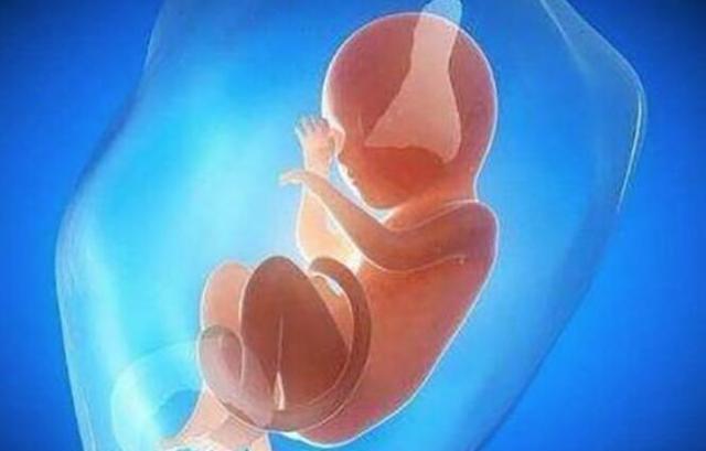 胎儿|胎儿总在夜间胎动,可不是胎儿太淘气,背后原因孕妇别大意