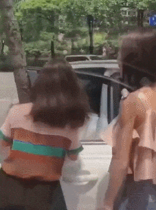 GIF|搞笑GIF：就是这只猫，在家里比我的地位都高