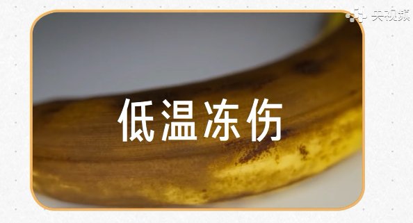 细胞|食物部分坏了还能吃吗？关键得区分这几种情况