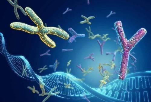 医生|为何有的人总生儿子,有人却一直生女儿?医生:或与这4点有关