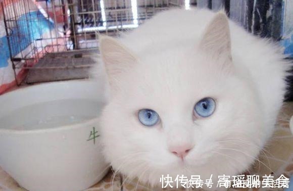 小说#三本网络小说开篇有槽点,没想到柳暗花明,越看越有味道