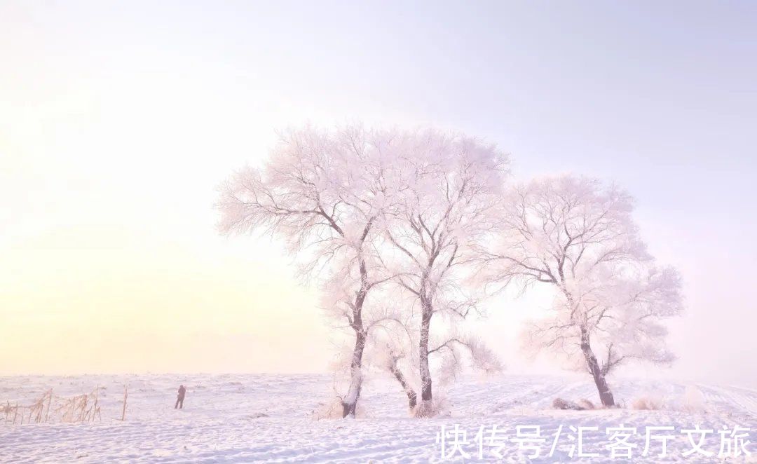 哈尔滨|这才是跟冬天最配的自驾线，沿途雪景美成童话，错过再等一年