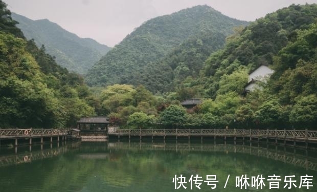 浙江|浙江有一风景区，植被覆盖率高达90%，空气清晰，超适合带孩子来