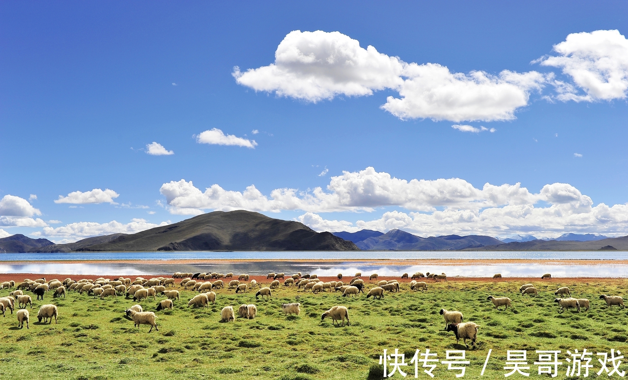 七律#古诗七律:翠堆玉漾似诗流,苇浴清波织彩绸