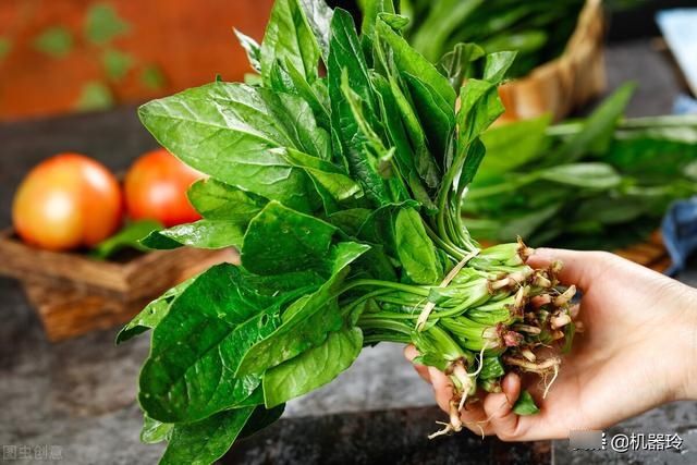 冬天宁可不吃肉，吃这10道素菜，清淡解油腻，暖胃驱寒人人吃得起