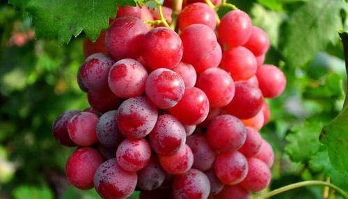 女性不想被同龄人比下去，多吃3种食物，补充雌激素，卵巢更健康