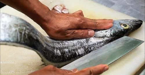 带鱼|真不怕腥！日本顶级美食带鱼刺身，大厨手法一流，你敢吃吗？