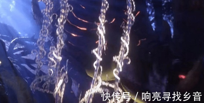 铠甲勇士|斗罗大陆唐三喜提铠甲,弹幕比正片还要精彩,想象力太丰富