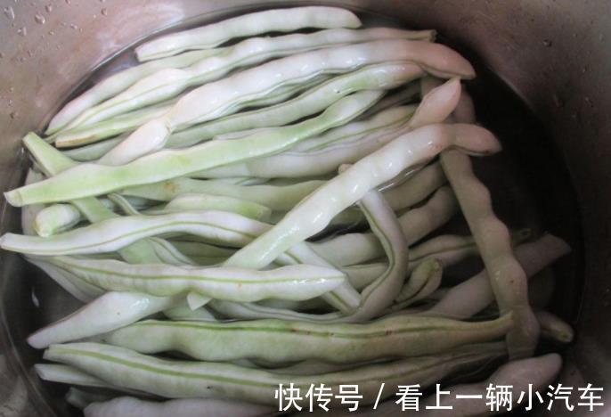 芸豆|六月包饺子这菜正合适，皮薄馅多特好吃，爽口开胃不油腻！真香！